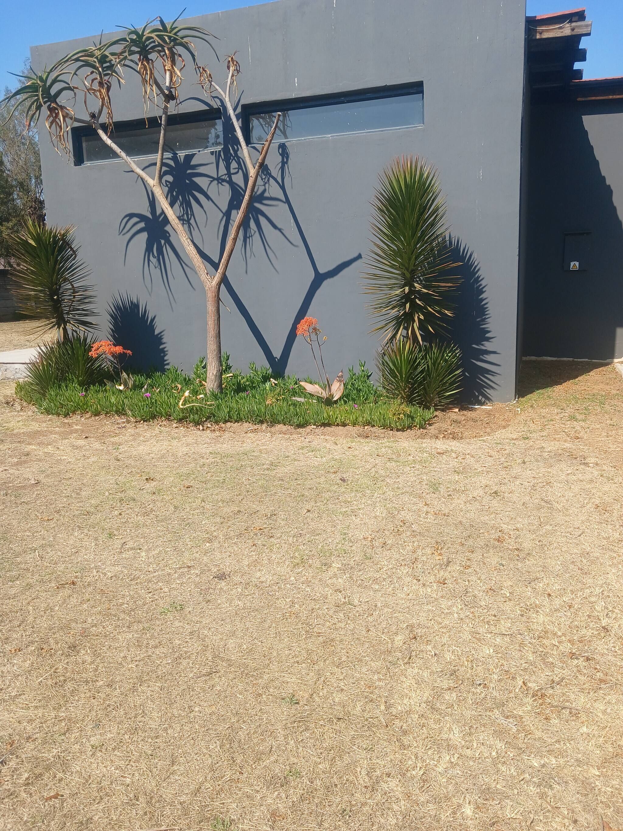 Un edificio moderno con fachada plana, un ventanal pequeño y un árbol en primer plano.
