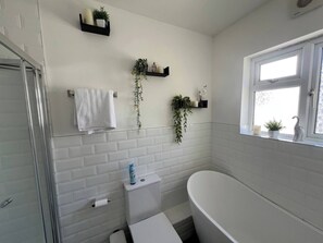 Shower, hair dryer