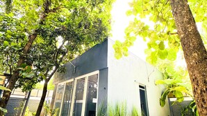 Une maison moderne dotée de grandes fenêtres, d’un toit plat et d’un jardin agrémenté de plantes en pot.