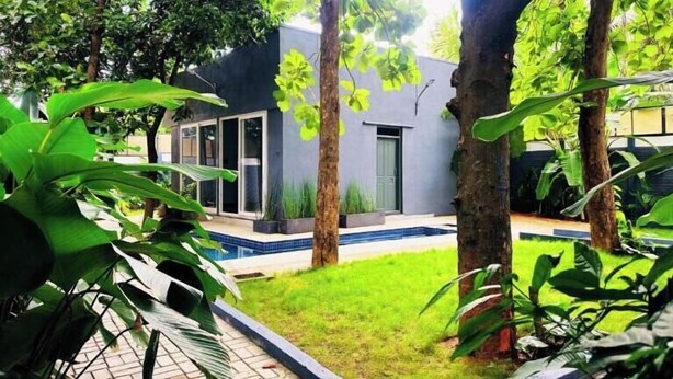 Un bâtiment moderne doté d’une piscine, entouré d’une végétation luxuriante et d’arbres.