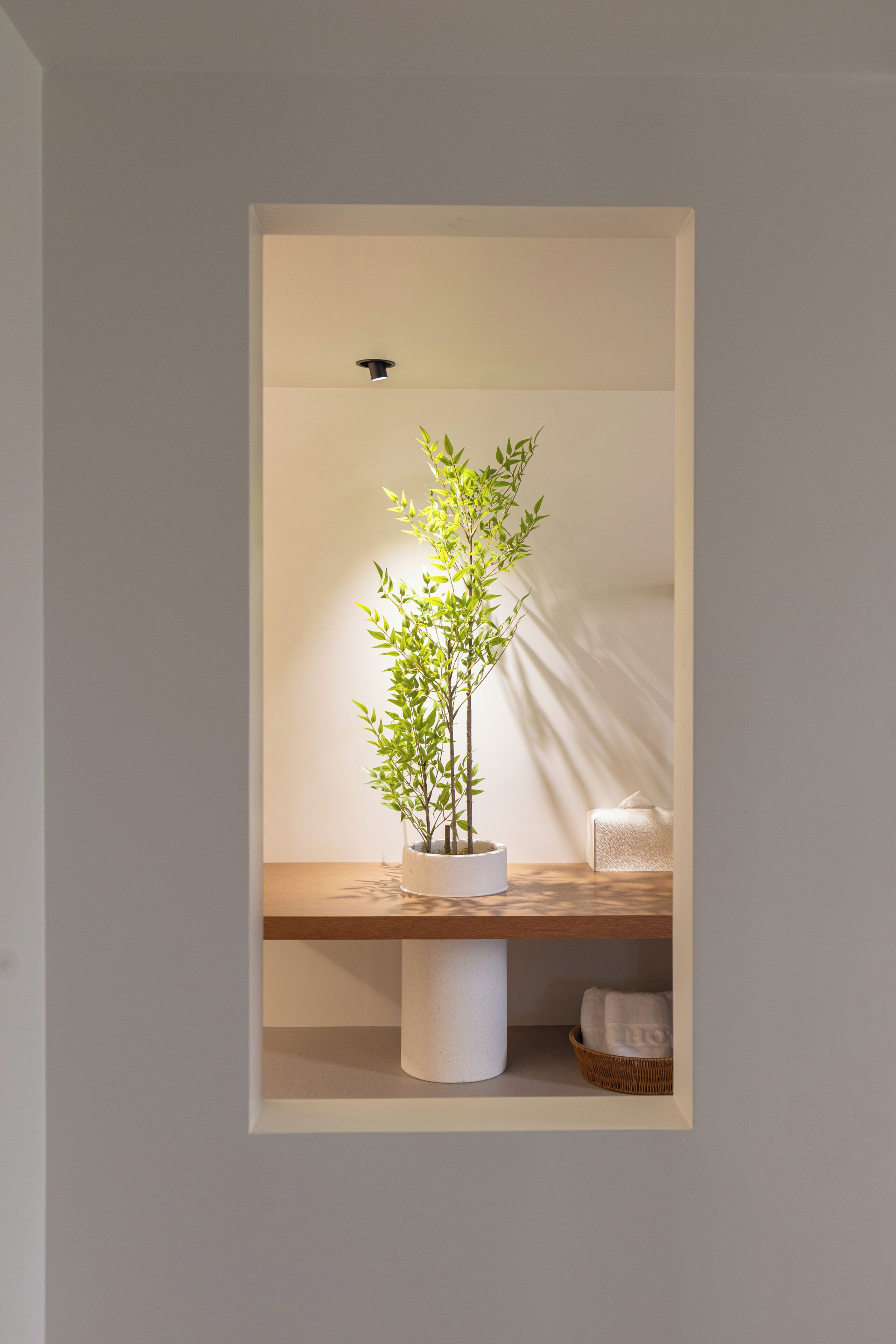 Une plante en pot, placée dans une étagère encastrée, avec un coussin blanc et un panier en dessous.