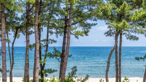 Eenvoudige kamer, 1 slaapkamer (Pool Villa 201 (Spa, Ocean View)) | 1 slaapkamer, gratis wifi