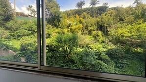 Vista desde una ventana a un paisaje exuberante y verde con follaje denso y palmeras.