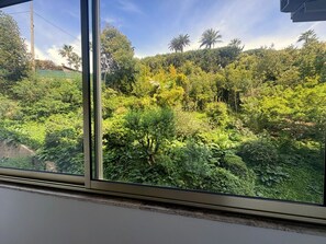 Blick aus dem Fenster auf eine üppige, grüne Landschaft mit dichtem Blätterwerk und Palmen.
