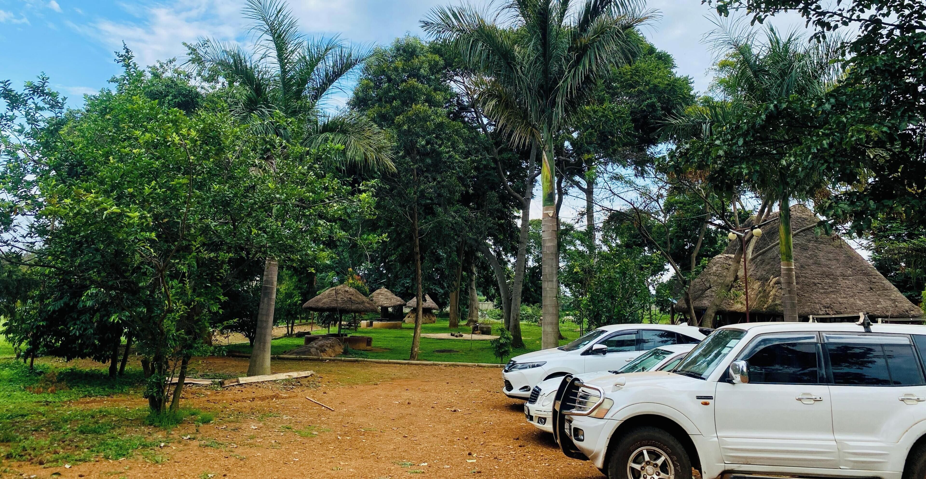 Park view