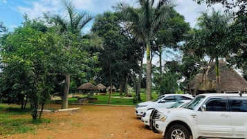 Park view