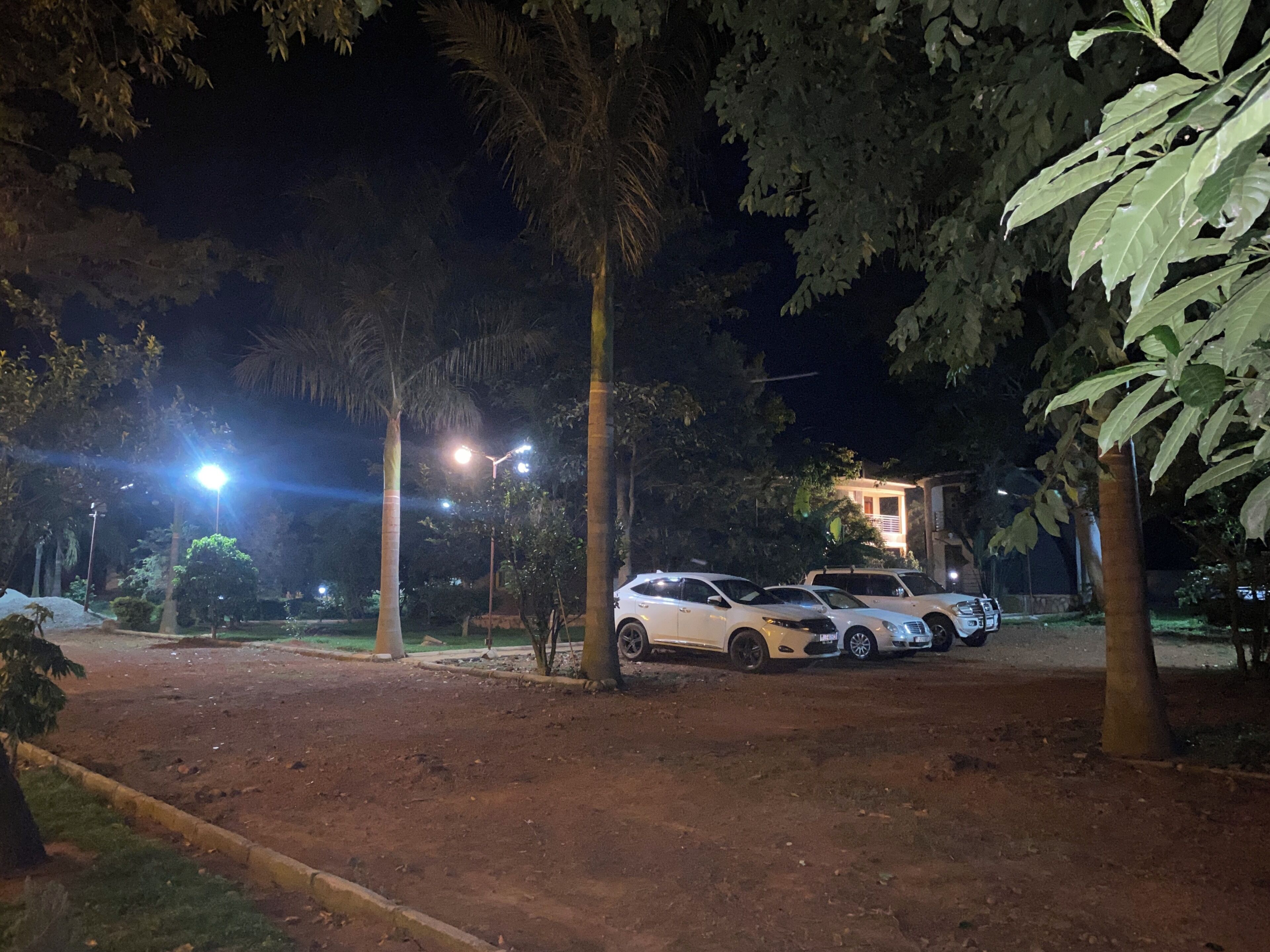 Park view