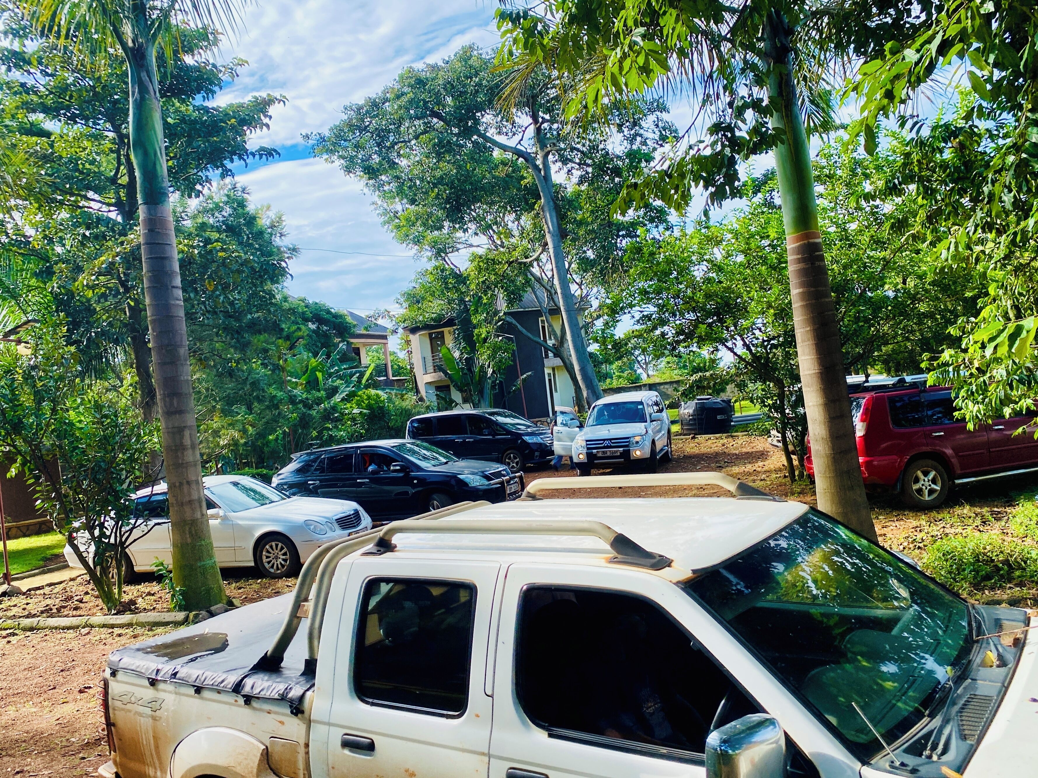 Vistas al parque