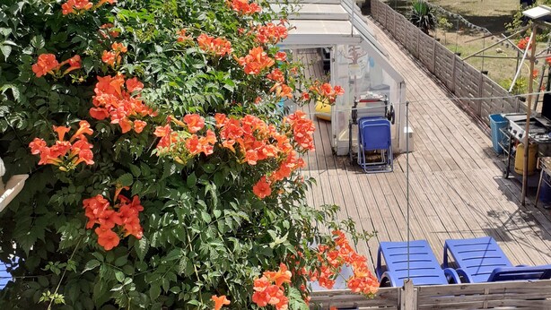 A deck with blue chairs, a barbecue grill, and a wooden fence. - Ground floor cottage Gite with disabled access-Swimming pool-Jacuzzi (Le Poujol-sur-Orb)