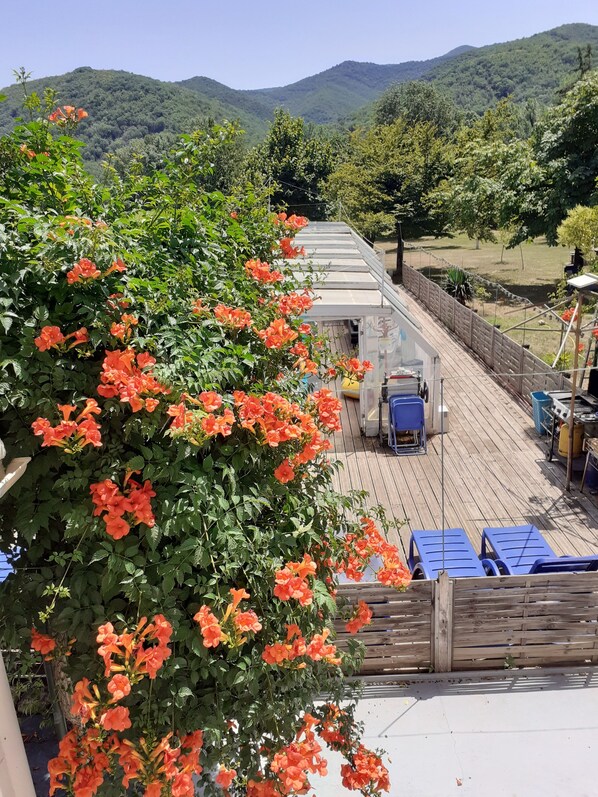 Terrasse/patio