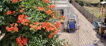 Ground floor cottage Gite with disabled access-Swimming pool-Jacuzzi