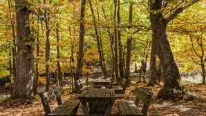 A forested area with picnic tables and benches. - The Little House on the River (Castel Dè Ratti)