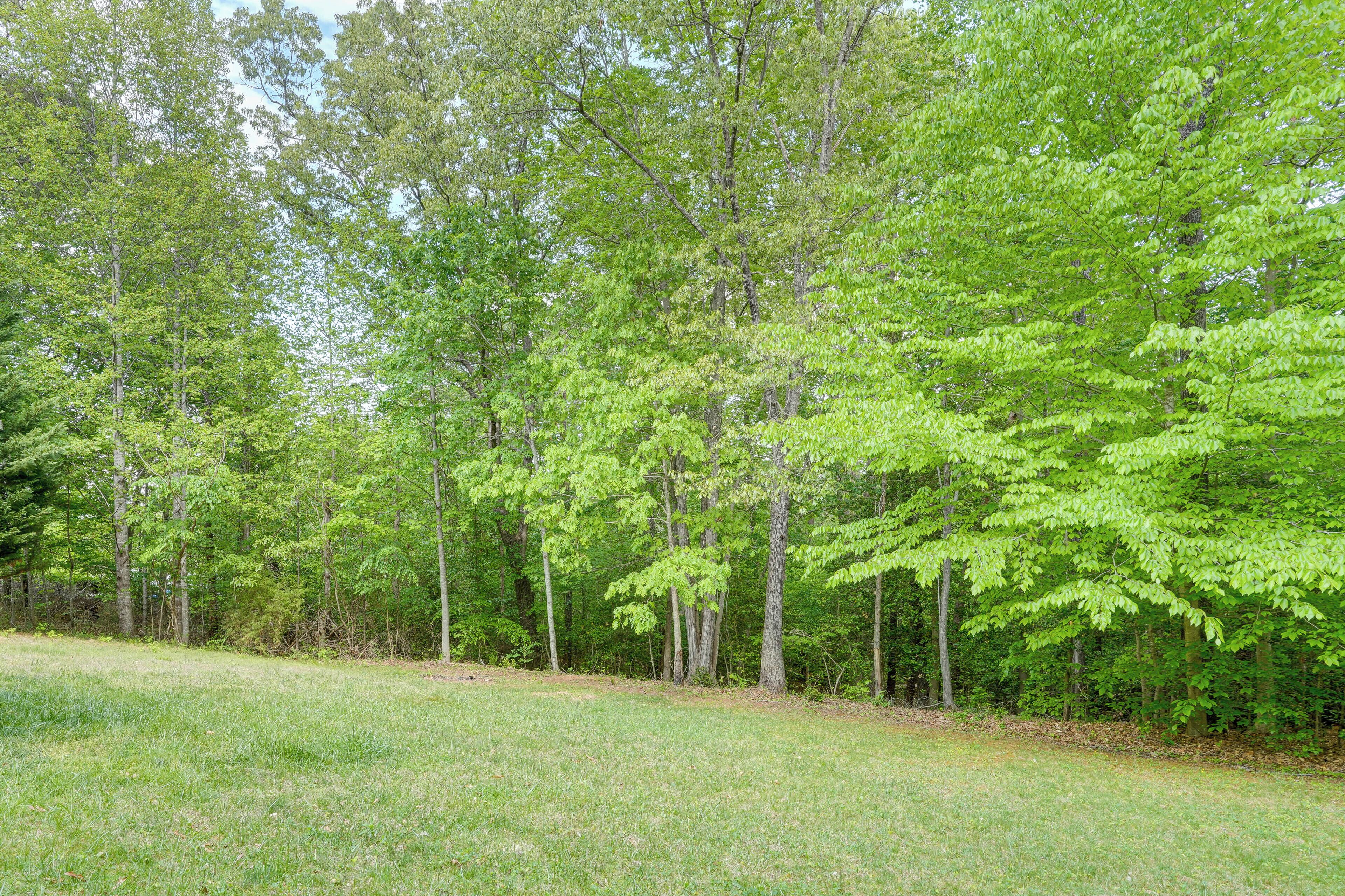 A grassy field with tall trees in the background.
