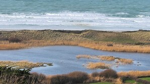 A coastal landscape with a body of water, grassy dunes, and a clear view of the ocean. - Bernardlhermite (La Hague)