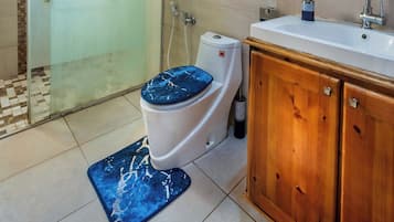Hair dryer, towels, soap, toilet paper