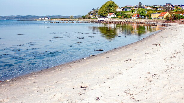 A coastal beach with clear water, a sandy shore, and houses in the background. - 3 bedroom amazing home in Ebeltoft (Ebeltoft)