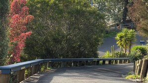 A paved road with a guardrail, surrounded by trees and a distant mountain range.