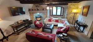 Smart TV, fireplace, books