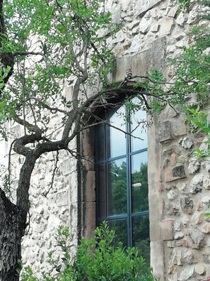 Exterior detail - Historic Provençal farmhouse in Mouriès (Mouriès)