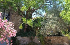 Property grounds - Historic Provençal farmhouse in Mouriès (Mouriès)
