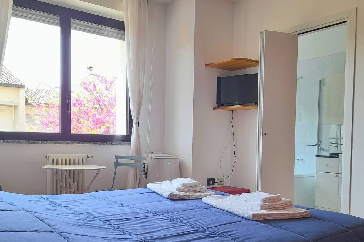 A hotel room with a bed, a TV, a radiator, a window with curtains, and a view of a pink flowering tree.