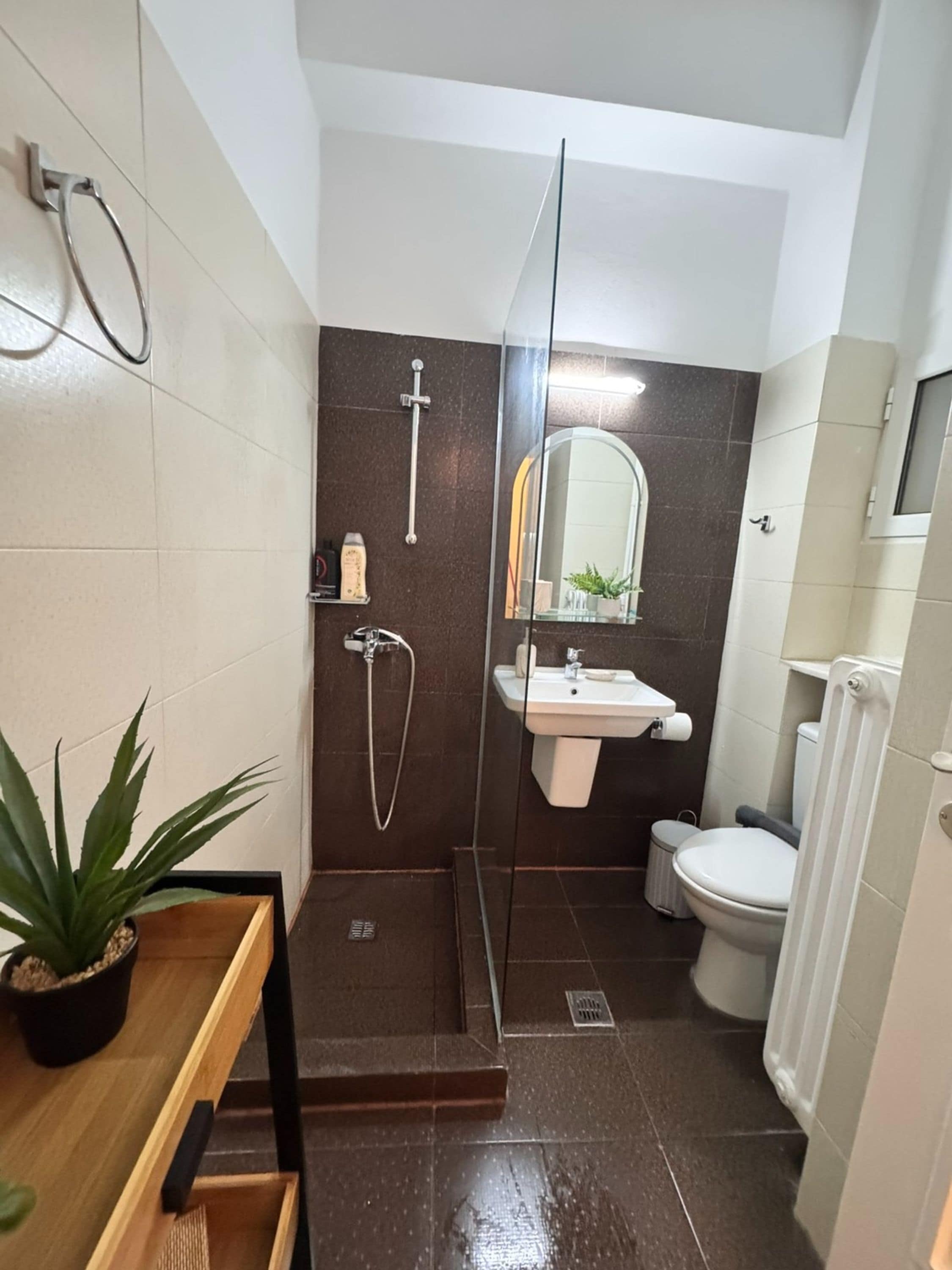 Apartment, Smoking | 1 bilik tidur 
