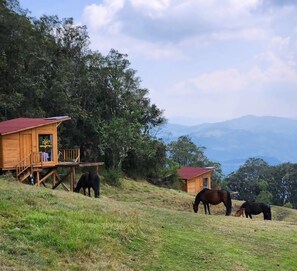 A wooden cabin with a balcony, surrounded by horses grazing on a grassy hillside with a mountainous backdrop. - Cabañas Paraíso en La Montaña  (La Calera)