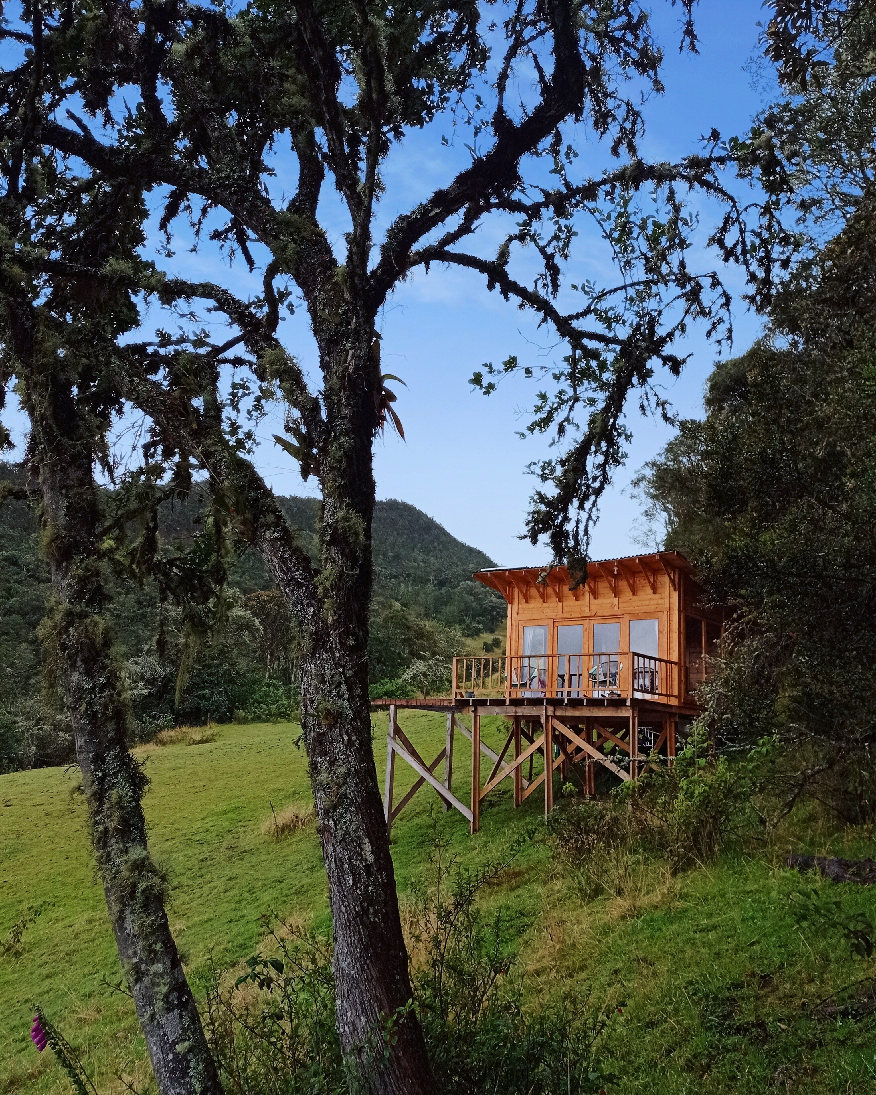 Comfort-Ferienhütte, Hügelblick | Außenbereich