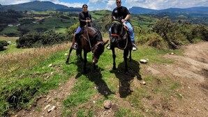 Deux personnes à cheval, sur un chemin de terre, avec une vue panoramique sur des collines verdoyantes et un ciel bleu parsemé de nuages.
