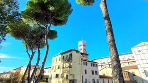 Une vue de rue avec des arbres, des immeubles et des voitures garées.