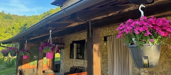 Private property, two houses, gym, pool and outside bar in stunning surrounding