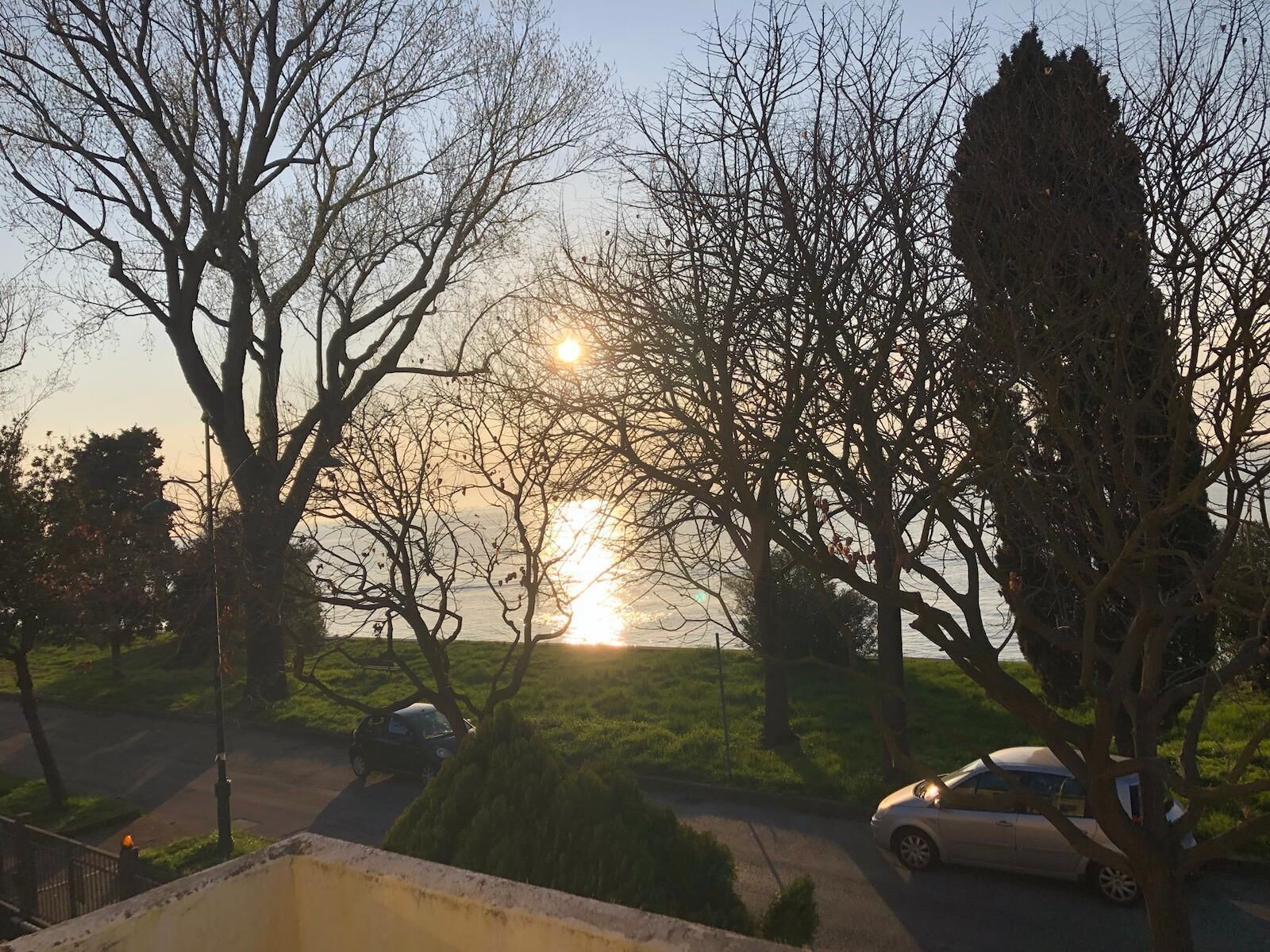 Ein Sonnenuntergang über einem Park mit Bäumen und abgestellten Autos.