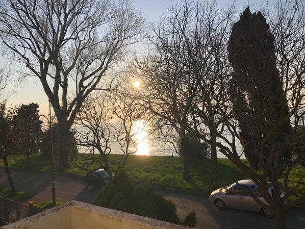 Um pôr do sol sobre um parque com árvores e carros estacionados.