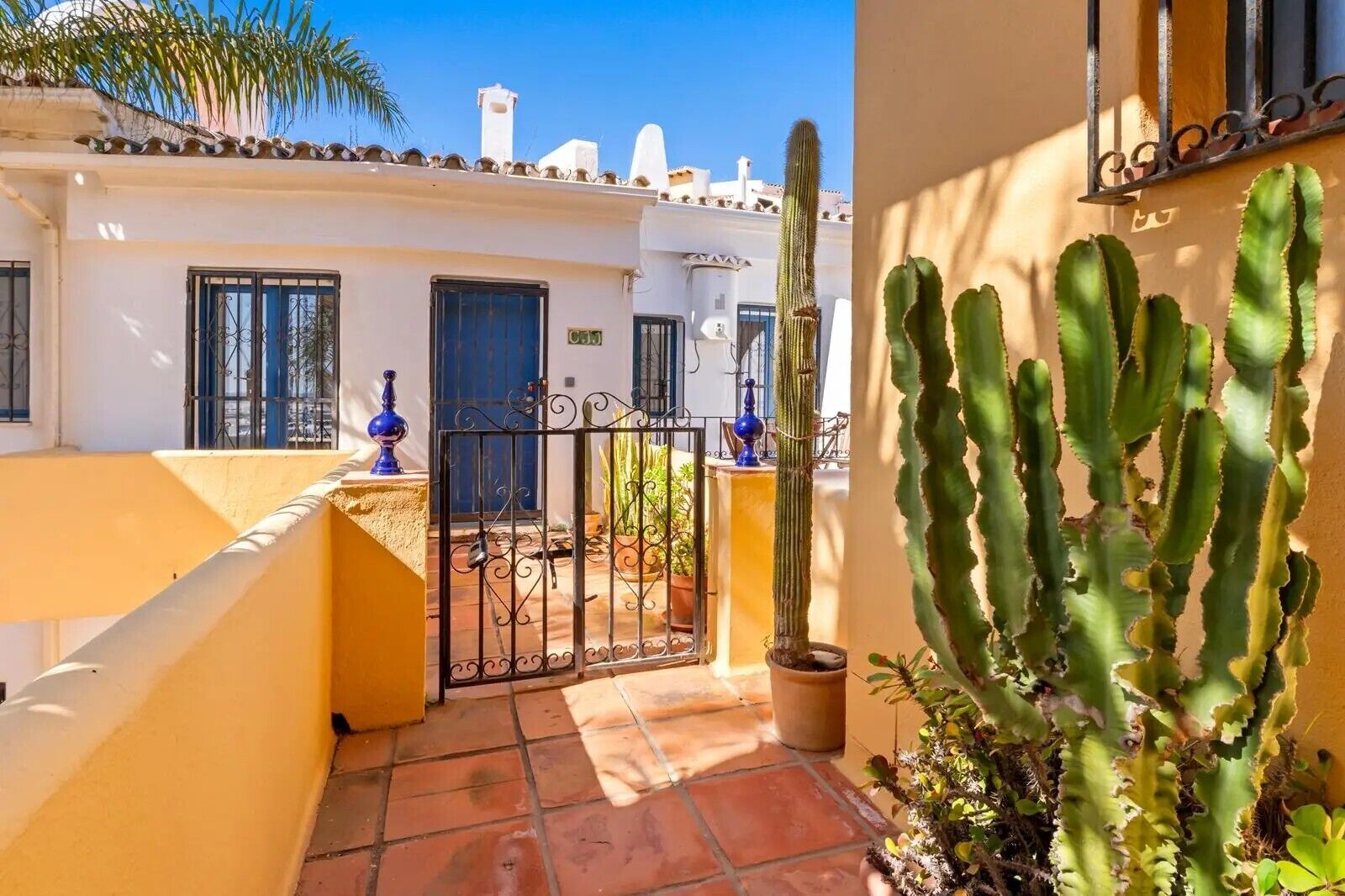Een binnentuin met een poort, potten met cactussen en een gebouw met witte muren en blauwe deuren.