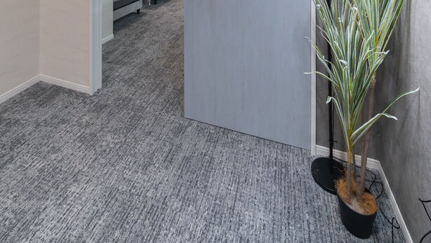 Habitación de hotel con alfombra gris, una planta en maceta y una cama con ropa de cama gris.