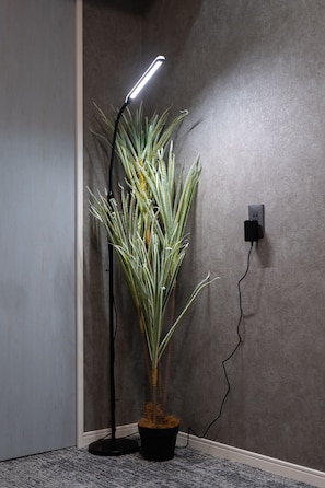 En potteplante ved siden af en gulvlampe med en stikkontakt.