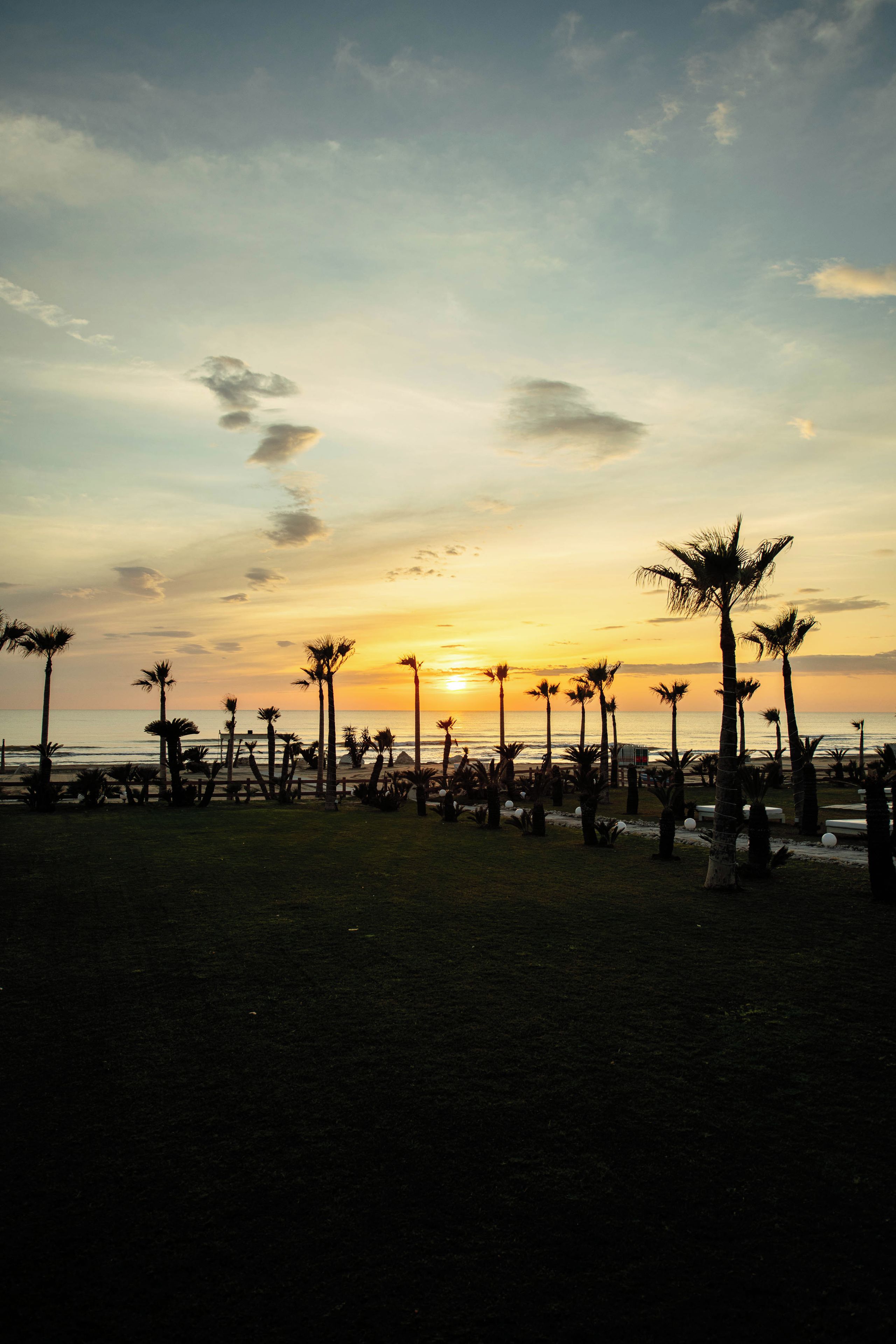 Une scène de plage avec des palmiers et un coucher de soleil.