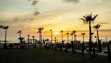 Une scène de plage avec des palmiers et un coucher de soleil.