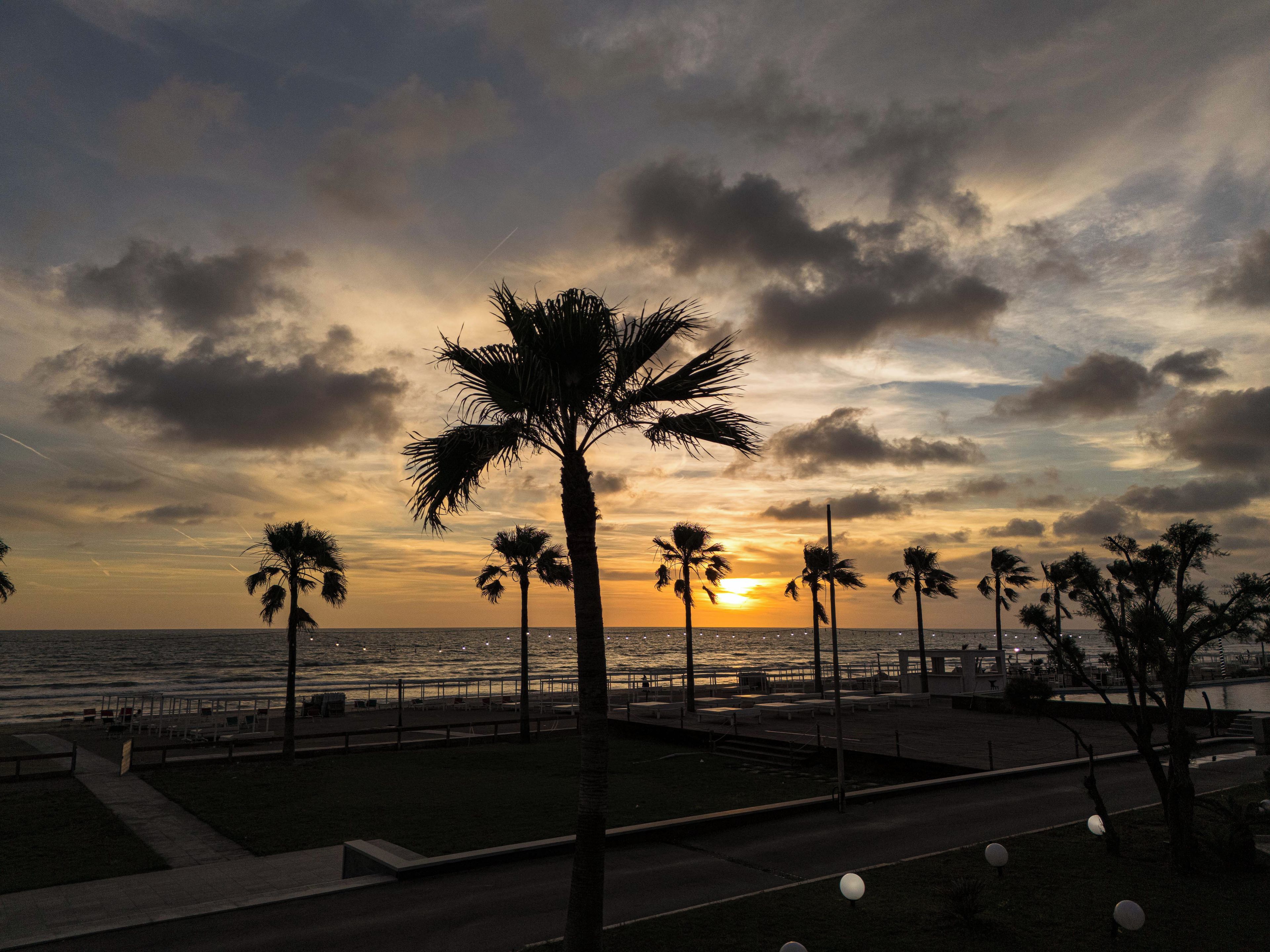 A sunset view with palm trees and a waterfront promenade.