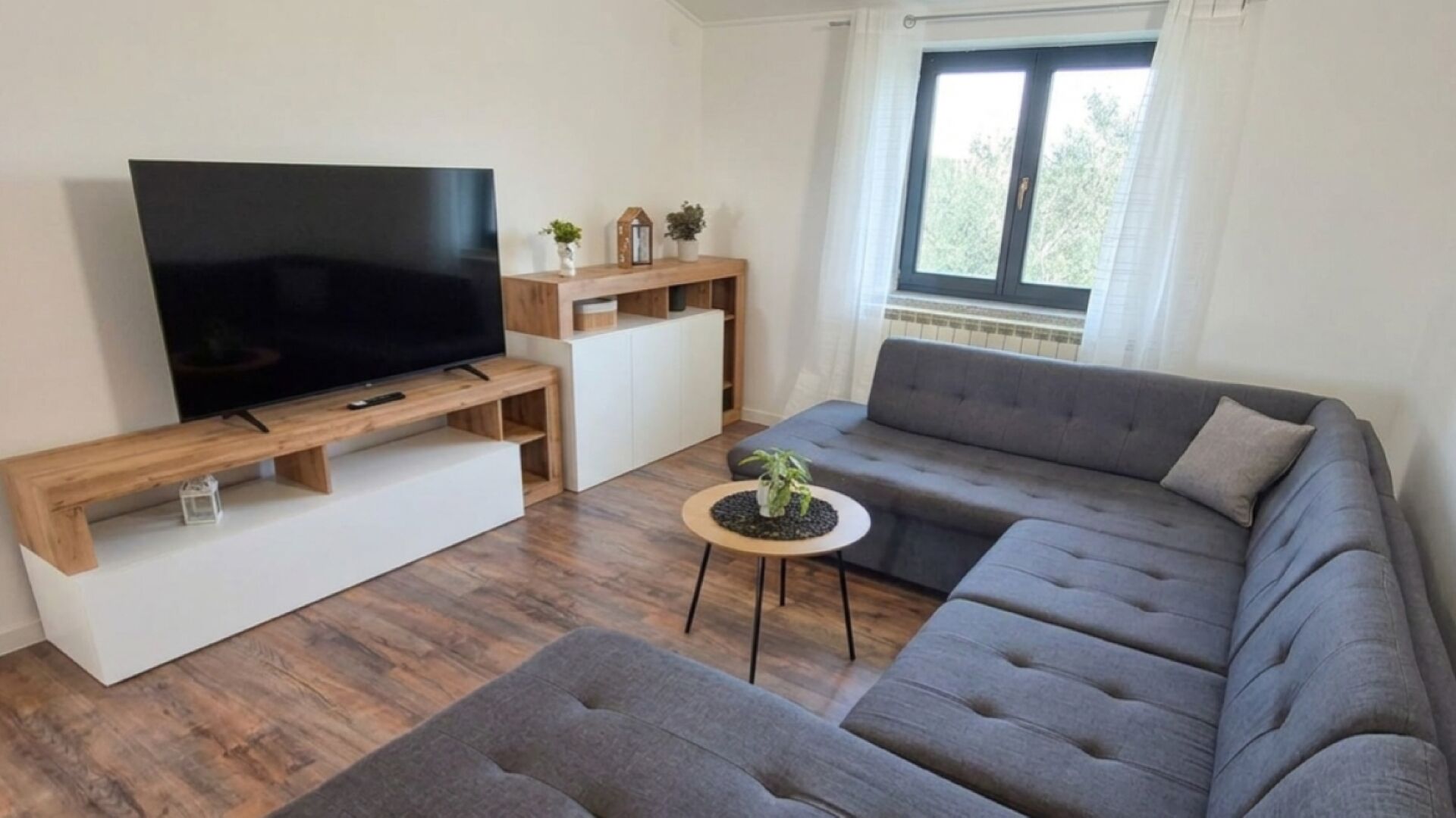 Fernseher