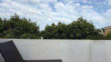 Familie appartement, uitzicht op stad | Terras