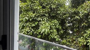 Une vue depuis une fenêtre ornée d’une rambarde en métal, donnant sur une rue où sont garées des voitures et où l’on aperçoit des arbres.