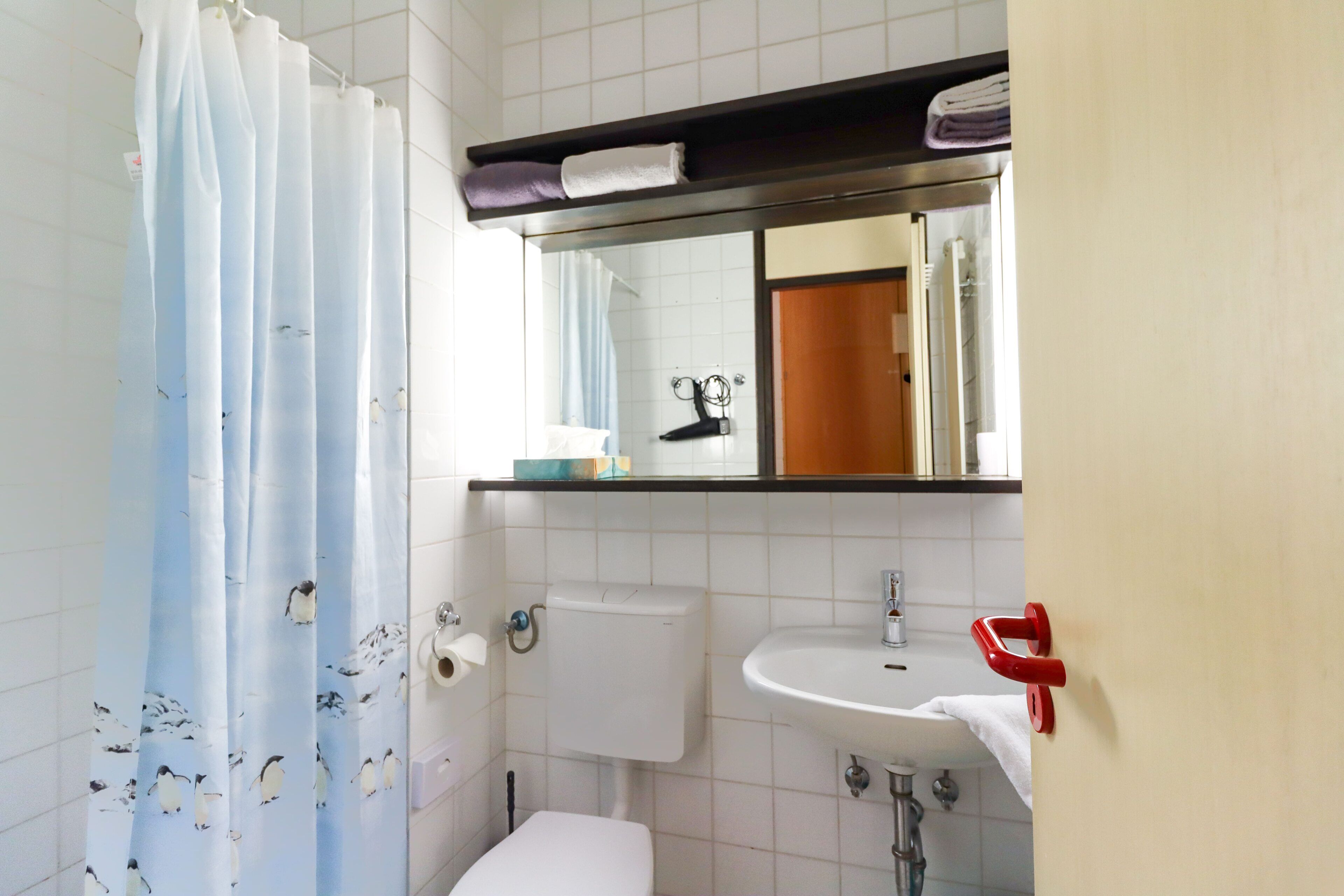 Dusche, Haartrockner, Handtücher