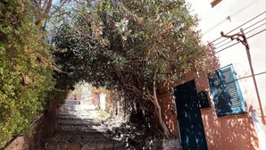 A narrow stone-paved alley with a tree-lined path, a stone wall on one side, and a building with a blue door and shutters on the other. - La maison du repos (Hyères)