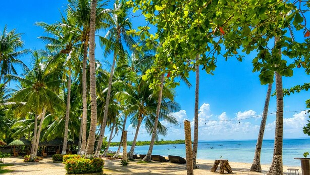 A beach with palm trees, a sandy path, and a view of the ocean. - Bethel by the Sea Santa Fe Bantayan Island (Cebu City)