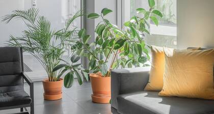 Green Loft Gdynia