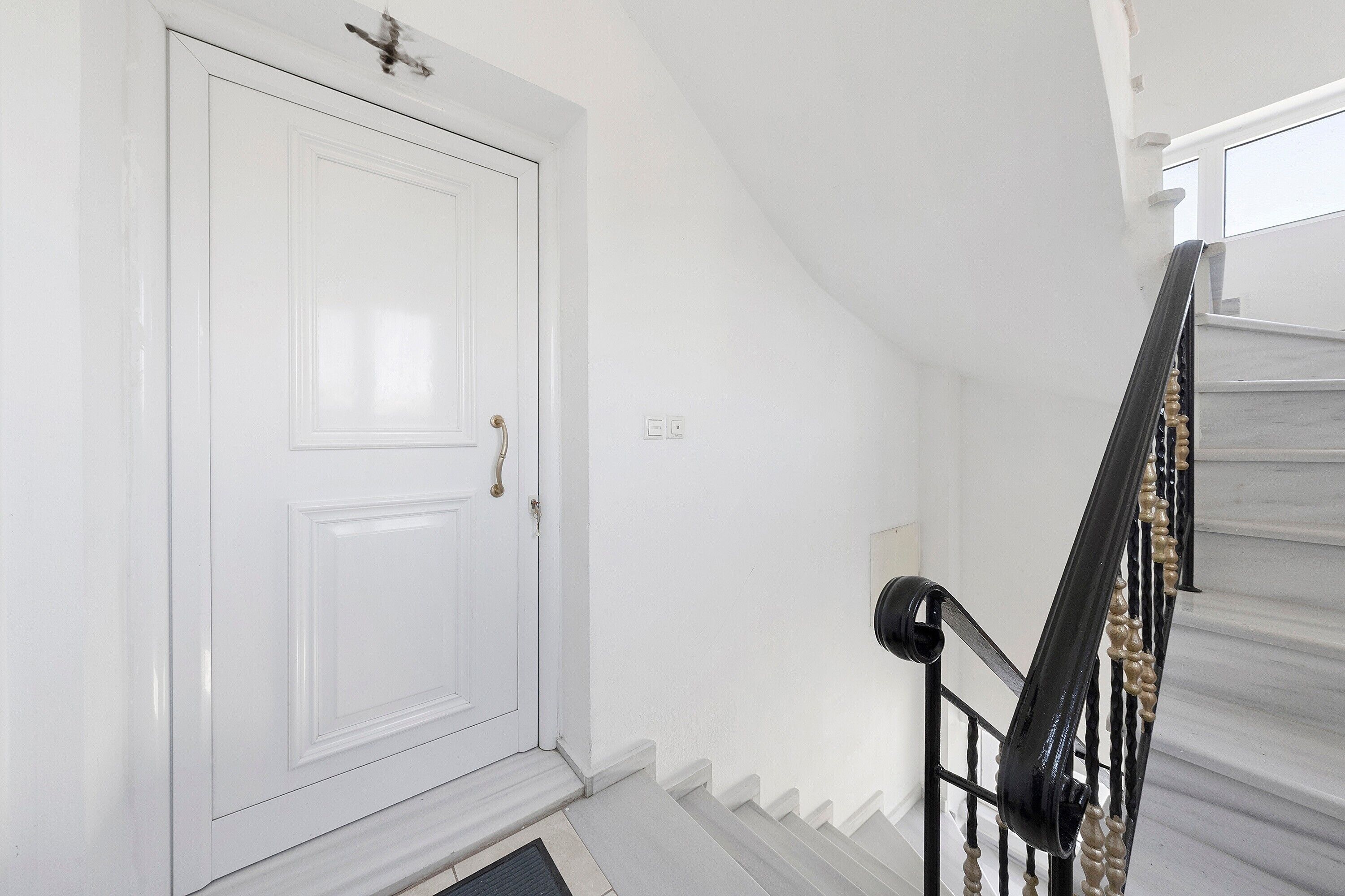 A white door with a brass handle, a black handrail, and a white wall with a light switch.