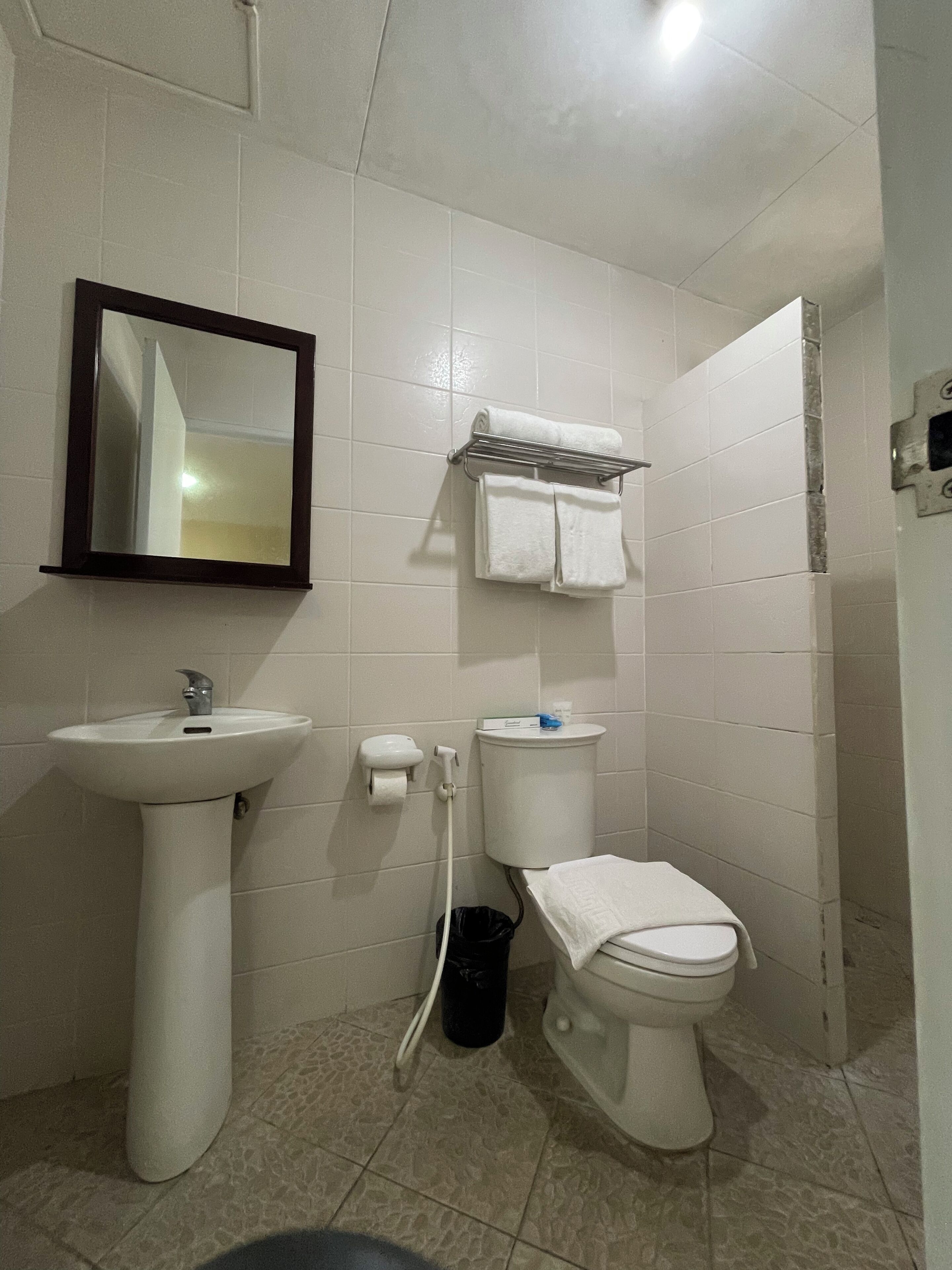 Une salle de bain avec un lavabo, des toilettes et un miroir.