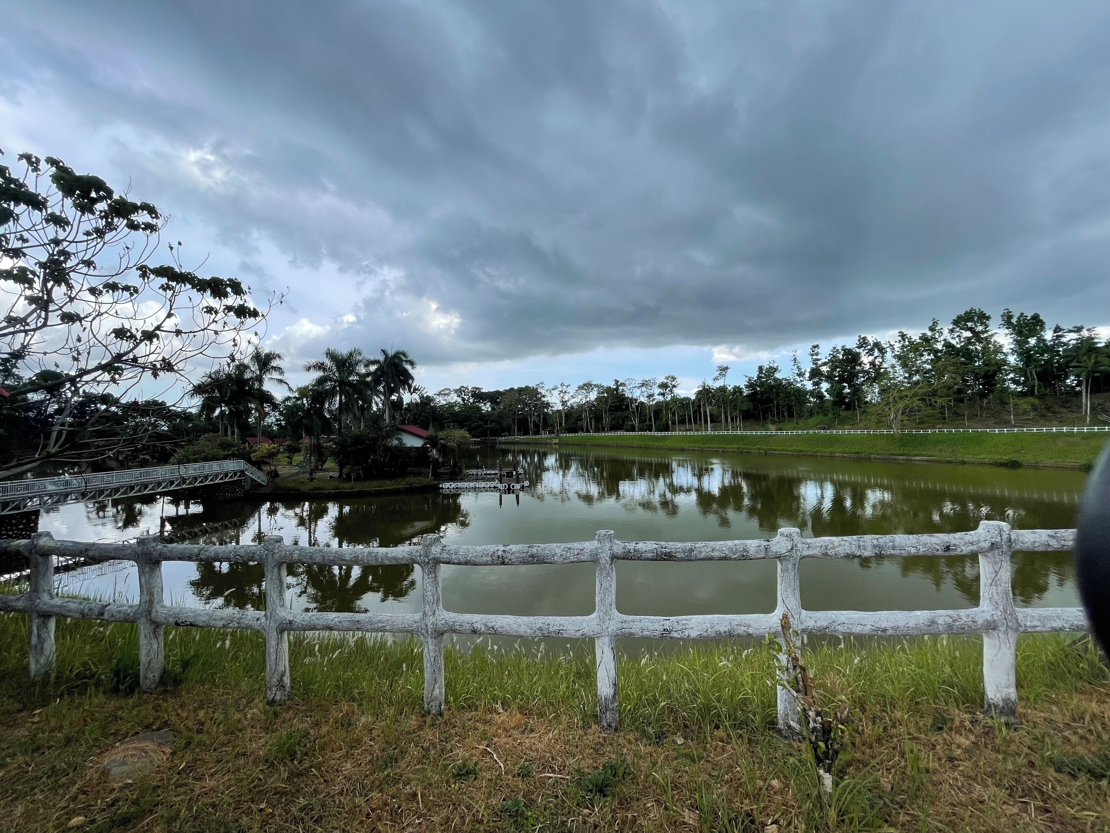 A serene landscape with a pond, a white fence, and a bridge.