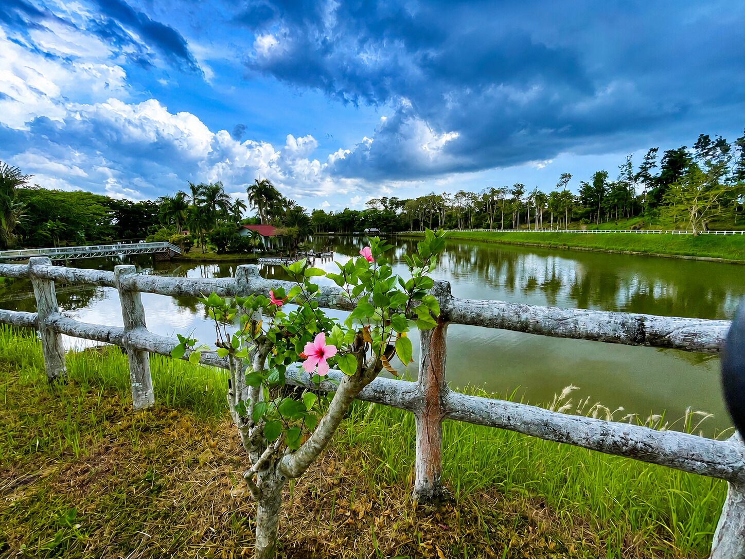 Una vista serena sobre un lago, con una cerca de madera, abundante vegetación y un cielo despejado.